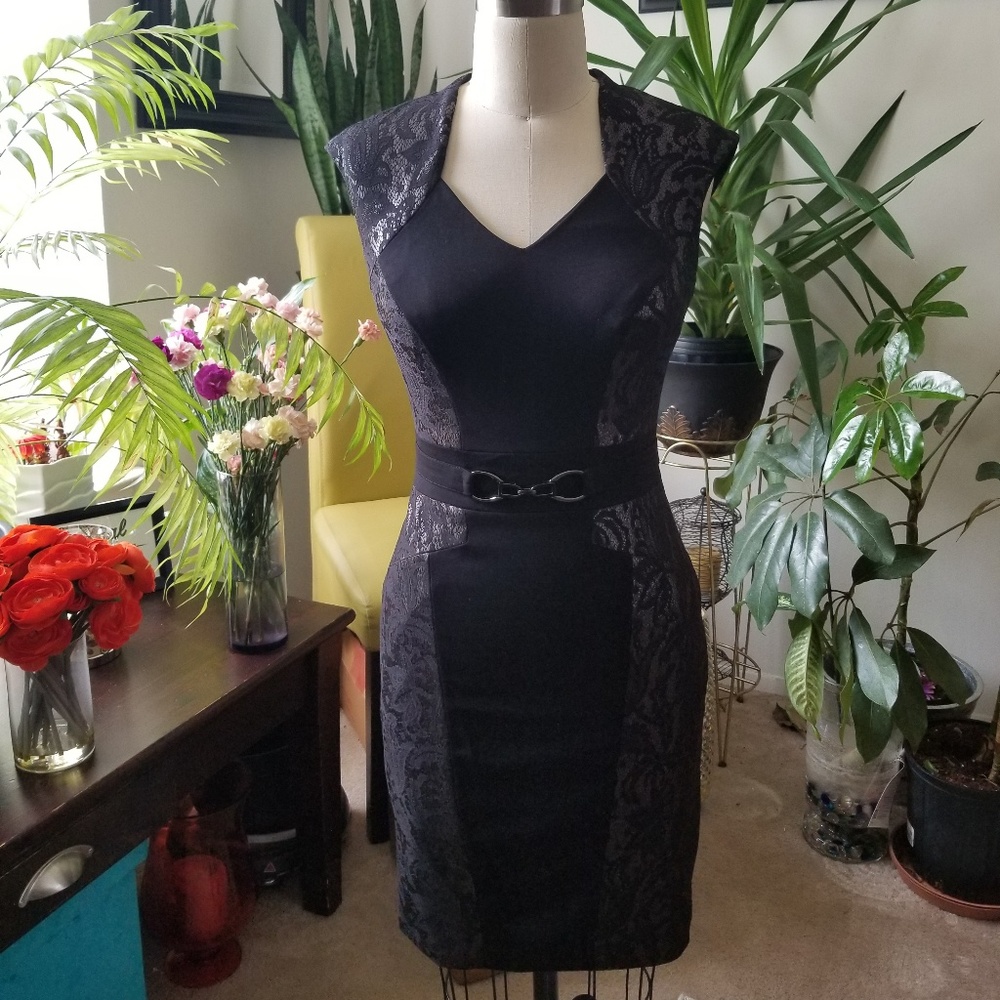 Cache Fitted Day Dress
